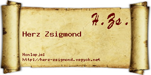 Herz Zsigmond névjegykártya